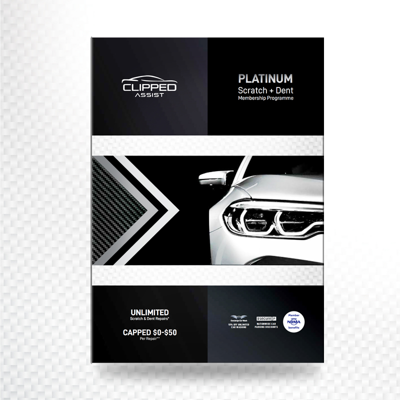 Platinum Sales Brochures (1 pack = 300 units)