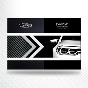 Platinum Repair Gallery A4 - $0-$50 (1 Pack = 200 units)