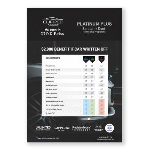 Platinum Plus Flyers (1 pack = 500 units)